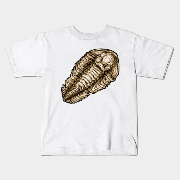 Calymene Trilobite Fossil Sticker Kids T-Shirt by CassWArt